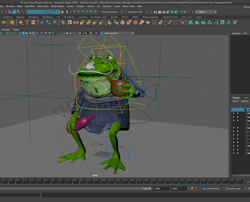 Frog_rigg_OctopusBar